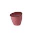 Mepal - Küchenabfalleimer Calypso - Kleiner Mülleimer mit Deckel - Komposteimer Küche - Ideal für die Küchenorganisation - Küchenhelfer & Spülmaschinenfest - 2200 ml -Vivid mauve