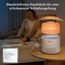 Levoit Top-Fill Luftbefeuchter, Smart Verdunstungsluftbefeuchter für Baby, separater Sensor, Humidifier mit Blaulichtfreiem Nachtlicht für Schlafzimmer, Kinderzimmer Auto Shut-off, 3,8 L, Mattweiß