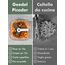 Geedel Zwiebelschneider, 500ML Zwiebel Zerkleinerer mit Seilzug, Gemüseschneider Zerkleinerer Manuell mit Edelstahlklingen, Multizerkleinerer Zwiebelhacker für Gemüse, Obst, Zwiebeln, Nüsse, Knoblauch