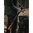 Fiskars Spaltaxt, Inklusive Klingen- und Transportschutz, Länge: 72 cm, Antihaftbeschichtet, Hochwertige Stahl-Klinge/Glasfaserverstärkter Kunststoff-Stiel, Schwarz/Orange, X25–XL, 2,4 kg, 1015643
