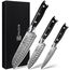 PAUDIN Damastmesser set, Messerset 3-teilig, Damast Küchenmesserset mit Ultra Scharfes Santokumesser Küchenmesser aus 67 Schichten Damaststahl mit Japanischem VG10 Stahl Kern, Ergonomischer G10 Griff