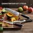 PAUDIN Damastmesser set, Messerset 3-teilig, Damast Küchenmesserset mit Ultra Scharfes Santokumesser Küchenmesser aus 67 Schichten Damaststahl mit Japanischem VG10 Stahl Kern, Ergonomischer G10 Griff