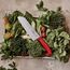 Victorinox Swiss Classic Santokumesser, Messer Asiatischer Art, Extra Scharfe Klinge, Kullenschliff, 17 cm, Rostfreier Stahl, Blister, Rot