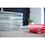 EMSA Clip & Close Glas Frischhaltedosen-Set, rechteckig, 0,18 u. 0,45 u. 1,3 L, 100 Prozent dicht, Glasbehälter spülmaschinen-, gefrier-, backofen-, mikrowellenfest, Rot, Transparent, N10508