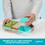 Sistema Bento Box Create Brotdose mit Fächern | 1,48 L Lunchbox mit Joghurt- /Fruchtbehälter | Lunchbox Kinder & Erwachsene | Blaugrün | 2 Stück