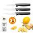 Fiskars Kleines Messer-Set, 3-teilig, Functional Form, Schälmesser, Allzweckmesser & Tischmesser, Functional Form, Edelstahl/Kunststoff, Schwarz, 1057561