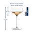 LEONARDO HOME PUCCINI Champagnerschale • 6 Stück • Cocktailglas • Champagnerglas • Klassische Form • Elegantes Design • Ideal für Aperitif und Dessert • Spülmaschinengeeignet • 350 ml • 069593