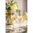 LEONARDO HOME Sektgläser PUCCINI (6er Set) • kratzfeste Sektgläser (280 ml) • Spülmaschinenfest & Langlebig • Zeitlose Champagnergläser für Zuhause & Restaurants • Prosecco-Glas Puccini • 069550