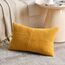 FDTERN 2er Set Gelb Kordsamt Kissenbezug 40x60CM Weich Moderne Dekorative Kissenbezüge Kissenhülle Dekokissenbezug Sofakissen Dekokissen Boho Herbst Deko für Sofa Schlafzimmer Wohnzimmer Balkon