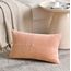 FDTERN 2er Set Lachsrosa Kordsamt Kissenbezug 50x70CM Weich Moderne Dekorative Kissenbezüge Kissenhülle Dekokissenbezug Sofakissen Dekokissen Boho Deko für Sofa Schlafzimmer Wohnzimmer Bett