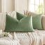 MIULEE 2er Set Kissenbezug Kissenhülle Dekorative Dekokissen Sofakissen Quadrat Wurfkissenbezug mit Verstecktem Reißverschluss Sofa Schlafzimmer 12x20 Zoll 30x50 cm Erbsen Grün