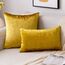 EMEMA Samt Kissenbezug Kissenhülle Dekorative Dekokissen Sofakissen Lendenkissen Wurfkissenbezug mit Verstecktem Reißverschluss Schlafzimmer Sofa 2er Set 40x60 cm Golden Luxuriös
