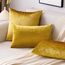 EMEMA Samt Kissenbezug Kissenhülle Dekorative Dekokissen Sofakissen Lendenkissen Wurfkissenbezug mit Verstecktem Reißverschluss Schlafzimmer Sofa 2er Set 40x60 cm Golden Luxuriös