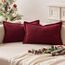 MIULEE 2er Set Kordsamt Kissenbezüge Samtkissen Weich Dekokissen Dekorativ Kissenbezug Modern Kissenhülle Sofakissen Zierkissen Couchkissen für Wohnzimmer Schlafzimmer Burgund 40x60 cm