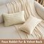 MIULEE Plüsch Kissenbezug 40x60 Deko Flauschige Kissenbezüge Kunstpelz Fell Sofakissen Flauschig Dekokissen Kissenhülle für Wohnzimmer Schlafzimmer Sofa Kuschelkissen Beige 2er Set