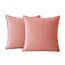 MIULEE 2er Set Samt Kissenbezug Flansch Kissenhülle Dekorative Sofakissen Dekokissen Umwickelte Kante Kissenbezüge Zierkissenbezug für Sofa Wohnzimmer Schlafzimmer 40x40 cm Altrosa