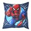 Theonoi Kinder Kissenbezug Kissenhülle Zierkissenhülle Zierkissenbezug 40x40 ohne Füllung ohne Kissen aus Baumwolle (Spiderman)