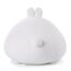 NICI 47752 Kissen Hase Molang figürlich 30x40cm Plüsch Kuscheltier Kawaii, 1 Stück (1er Pack), Weiß