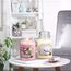 Yankee Candle Duftkerze im Glas (groß) | Vanilla | Kerze mit langer Brenndauer bis zu 150 Stunden | Perfekte Geschenke für Frauen