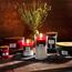 WoodWick mittelgroße Trilogy-Duftkerze im Sanduhrglas mit Pluswick-InnovationSun-Ripened Berries