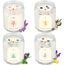 Kristallsteine Duftkerzen für Zuhause Natürliche Sojawachs Kerzen mit 4 Aromen (Kokos, Zitrone, Flieder, Eukalyptus) Rauchfrei + 45-50h Brenndauer im Geschenkset Geschenke für Frauen