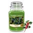 Yankee Candle Duftkerze im Glas (groß) | Mistletoe | Kerze mit langer Brenndauer bis zu 150 Stunden | Perfekte Weihnachtsgeschenke für Frauen
