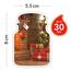 Yankee Candle Duftkerze im Glas (klein) | Holiday Hearth | Brenndauer bis zu 30 Stunden