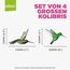 Stickers4 Vogelaufkleber für Fensterscheiben zum Schutz gegen Vogelschlag | Vogelschutz Fenster | 4 x Schöne Kolibri-Glasaufkleber, doppelseitig und selbstklebend zum Schutz gegen Vogelkollisionen