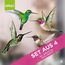 Stickers4 Vogelaufkleber für Fensterscheiben zum Schutz gegen Vogelschlag | Vogelschutz Fenster | 4 x Schöne Kolibri-Glasaufkleber, doppelseitig und selbstklebend zum Schutz gegen Vogelkollisionen