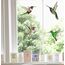 Stickers4 Vogelaufkleber für Fensterscheiben zum Schutz gegen Vogelschlag | Vogelschutz Fenster | 4 x Schöne Kolibri-Glasaufkleber, doppelseitig und selbstklebend zum Schutz gegen Vogelkollisionen