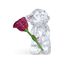 Swarovski Kris Bär Eine Rose voller Liebe