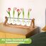 Cieex Vintage Kleine Vasen für Tischdeko, Hyindoor Propagation Station, Blumenvase Glasvase mit Holzständer, Kleine Vasen Vintage Glas Reagenzgläser für Hause Büro Wohnzimmer