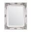 Select Mirrors Rhone Wandspiegel - Französischer Vintage, Antiker Barockstil - 50cm x 60cm (Antik Silber)