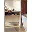 Neue Design Mood® Premium Rectangular Bathroom Mirror Gold Framed Wall Mounted, Rectangle Frame Modern & Stylish (50cm x 40cm)
