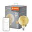LEDVANCE Klassische Globe-Form mit Glühwendel-Design mit WiFi-Technologie, 6W, Warm weiß, E27, 1-er Pack