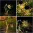 GuKKK Solar Gießkanne mit Solarlampen für Außen, Solarlampen für Außen Garten LED Lichter, Solar Gartendeko Modern Stil, Solar Lichterketten Aussen, Star Shower Garten Leuchten mit Halterung (Fächer)