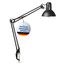 MAUL Schreibtischlampe MAULstudy | Verstellbare Klemmlampe mit Gelenkarm für Büro und Schreibtisch | Elegante Tischlampe aus Metall | Lampe exklusive LED-Leuchtmittel | Schwarz