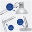 MAUL LED Schreibtischlampe MAULstudy | Verstellbare Stehlampe mit Gelenkarm für Büro, Arbeitszimmer und Schreibtisch | Elegante Bürolampe aus Metall | Exklusive LED-Leuchtmittel | Silber