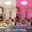 BestLuz LED Deckenleuchte LED Panel Deckenlampe Ø 42cm 24W RGBW + Neutralweiß 4000K mit Backlight-Effekt Fernbedienung für Badezimmer Schlafzimmer Wohnzimmer Küche, Ultra Dünn