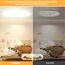 50CM Deckenlampe Led Deckenleuchte Flach - 48W 4800LM 3000K Warmweiss Rund Deckenlampen Wohnzimmer 2,4CM Utra Dünn LED Lampe Decke für Küche Schlafzimmer Badezimmer Kinderzimmer, Modern Rund IP44