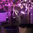 Philips Hue White & Color Ambiance Lily Gartenspot Standard Set mit 40W Netzteil (590 lm), dimmbare Außenleuchte mit 16 Millionen Farben, smarte Lichtsteuerung über Sprache oder App, schwarz