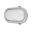 REV Kellerlampe - Feuchtraumleuchte LED oval (10W, 800lm, IP44), einsetzbar als Decken- oder Wandlampe, Feuchtraumlampe, grau