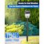 YooShine Solarlampen für Außen Garten :Solarleuchten für den Außen, Wasserdicht Gartenbeleuchtung, Auto Ein/Aus Solarlampen garten,deko Garten,Hof,Garage, Einfahrt,Terrassen,Rasen,Warmweiß,4 Stück
