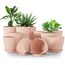 Utopia Home 10er-Pack Blumentopf 18/17/15/13/12 cm Übertopf mit Untertasse Für Küche, Balkon Blumentöpfe mit Untertasse Gartenpflanzen Sukkulenten, Baumschule Blumentopf für Zimmerpflanzen Rosa.