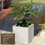 VIVANNO Pflanzkübel Fiberglas Block Frostsicher - 30x30x30 cm - Beton-Design Grau - Blumenkübel Quadratisch für Draußen und Drinnen
