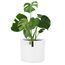 Fox&Fern Übertopf M - Blumentopf Gross inkl. Wasserspeicher - Blumentopf hoch 24cm - Übertöpfe für Zimmerpflanzen - 25cm Durchmesser - Pflanzentöpfe groß - Plant Pot - weiß