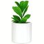 Fox&Fern Übertopf M - Blumentopf Gross inkl. Wasserabfluss - Blumentopf hoch 24cm - Übertöpfe für Zimmerpflanzen - 25cm Durchmesser - Pflanzentöpfe groß - Plant Pot - weiß