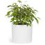 Fox&Fern Übertopf L - Blumentopf Gross inkl. Wasserabfluss - Blumentopf hoch 27cm - Übertöpfe für Zimmerpflanzen - 30cm Durchmesser - Pflanzentöpfe groß - Plant Pot - weiß