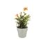 Elho B.for Original Rund 22 - Blumentopf - Maulbeer - Drinnen - Ø 22 x H 20.3 cm