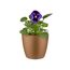 Elho Brussels Rund Mini 10,5 - Blumentopf - Samt Gold - Drinnen - Ø 11 x H 9.7 cm